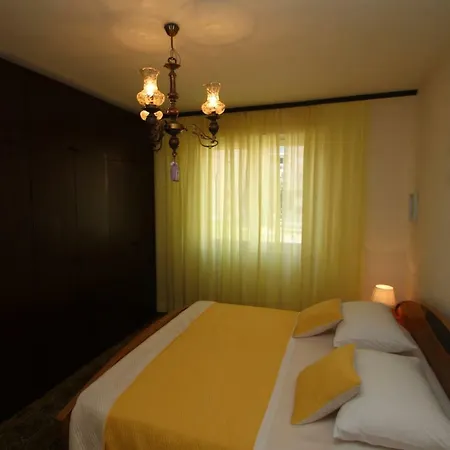 Cosy Sweet Yellow *